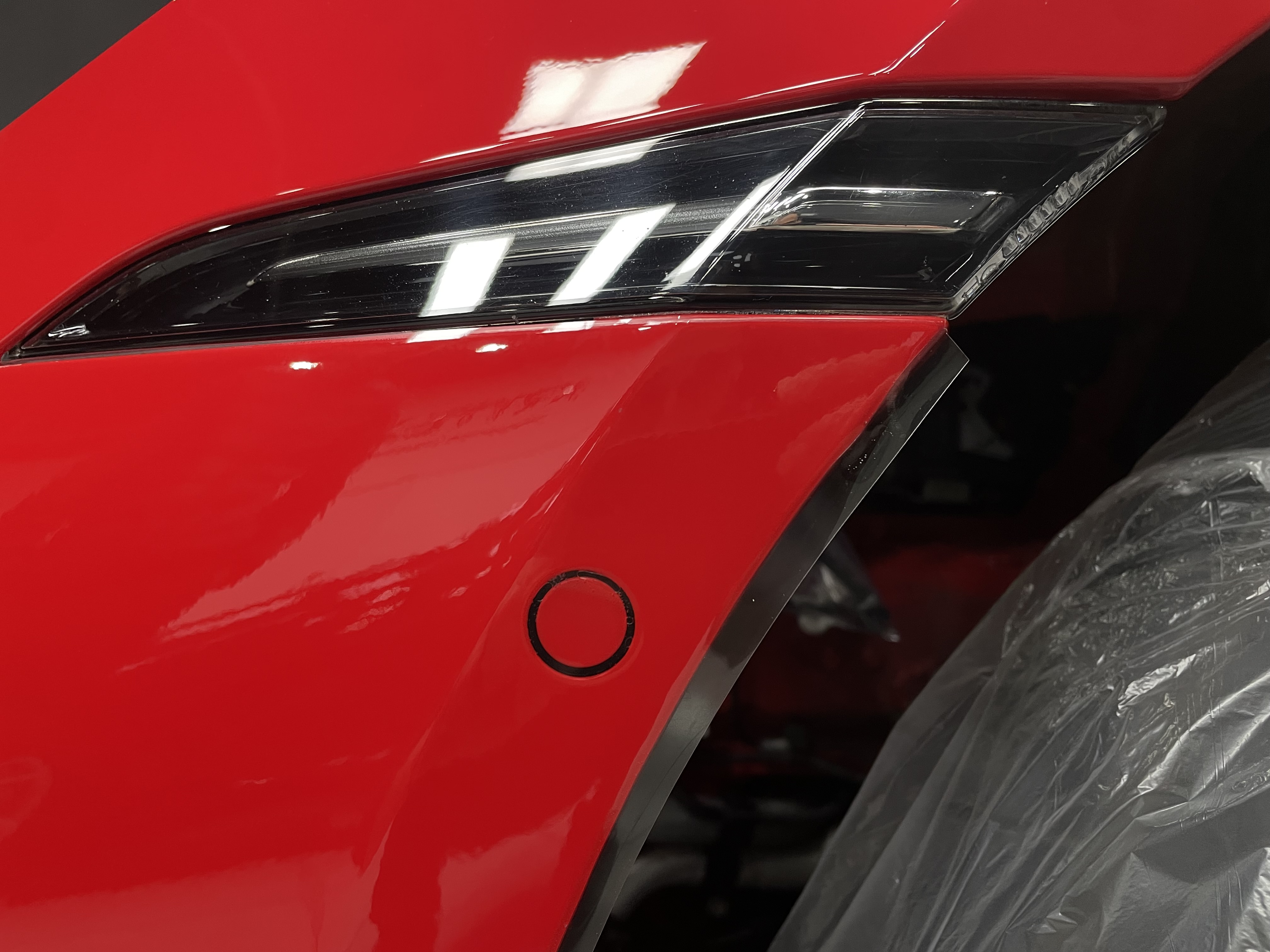 WePolish — fotografie 6