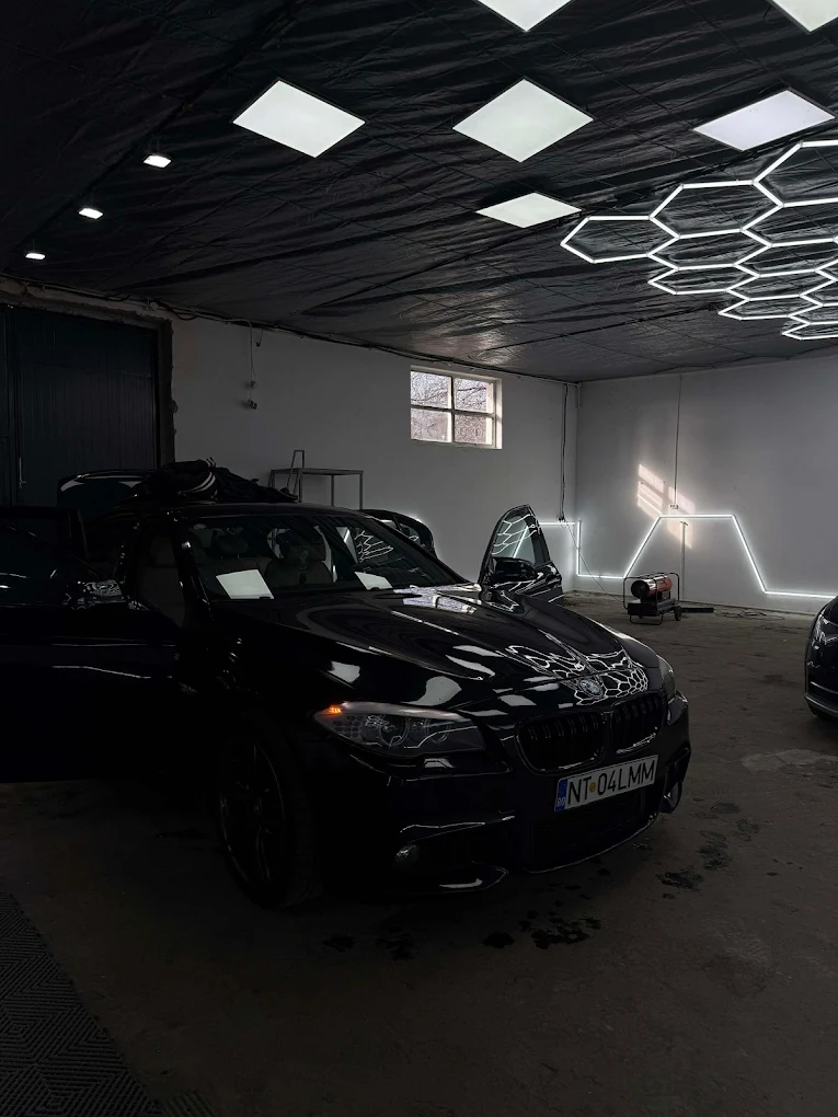 MLM Detailing