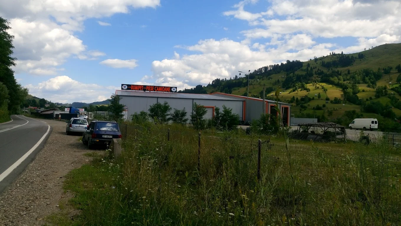 Radburg Soft Borca — service auto