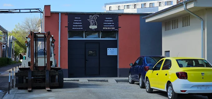 Capricorn Car — fotografie 3