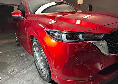 Clinica De Detailing — service auto