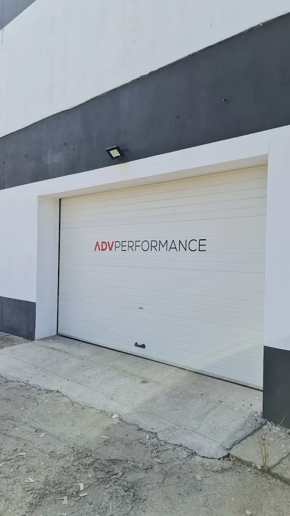 ADV PERFORMANCE — service auto