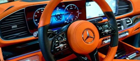 Hogea Detailing